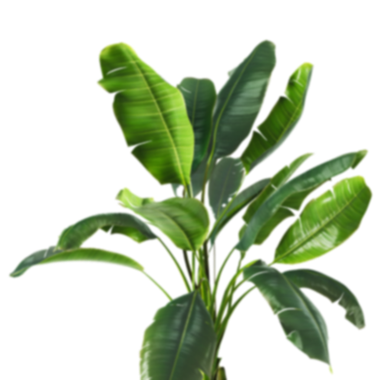 iStock-1380361370 1-2